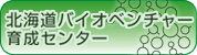 �k�C���o�C�I�x���`���[�琬�Z���^�[