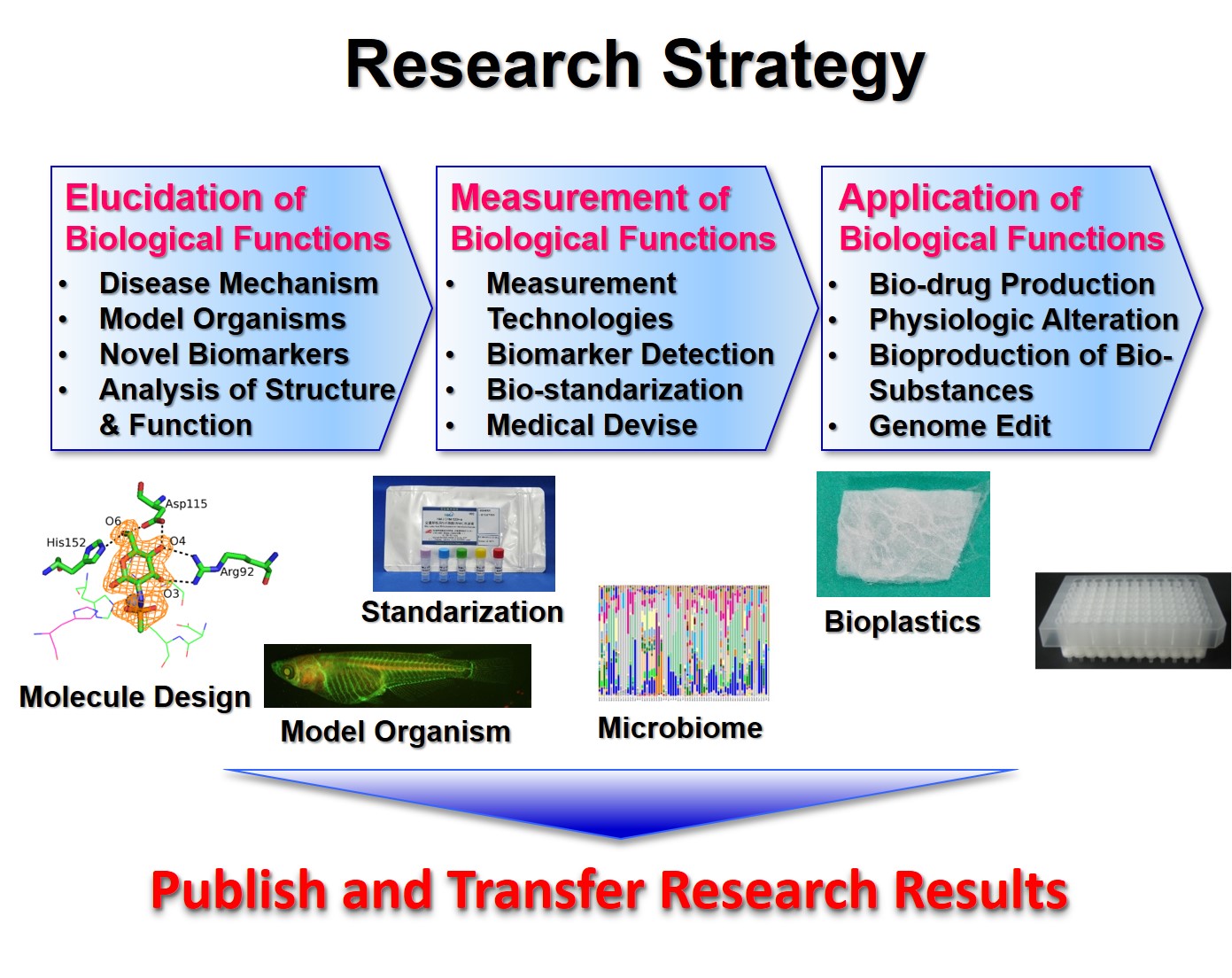AIST:Outline | Biomedical Research Institute