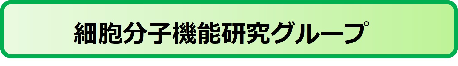 細胞分子機能RG