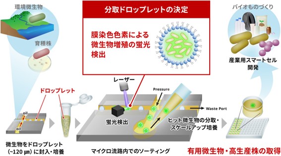 2024年9月26日プレスリリース図