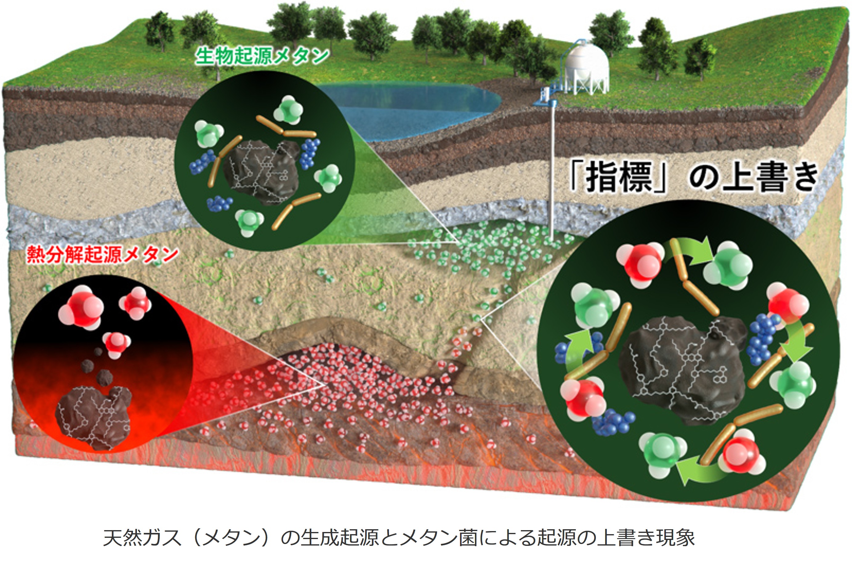 2024年12月20日プレスリリース図