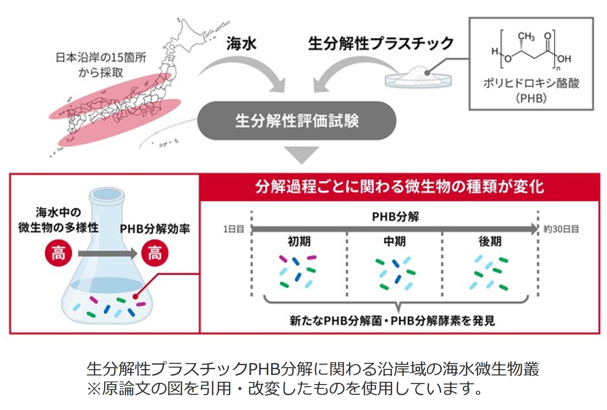 2025年1月28日プレスリリー図