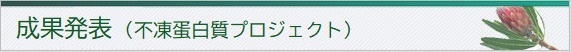 成果発表