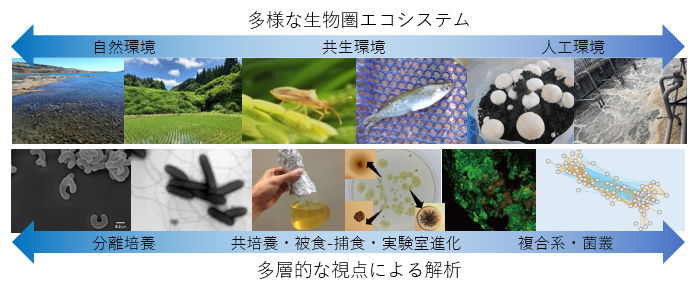 微生物生態工学研究グループ【生物プロセス研究部門】