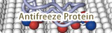 Antifreeze Protein Research Team