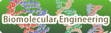 Biomolecular Engineering Research Group