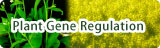 Plant Gene Regulation Research Group