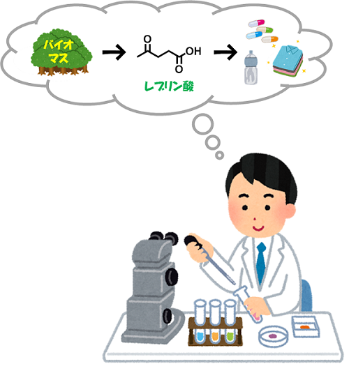 バイオマスの研究