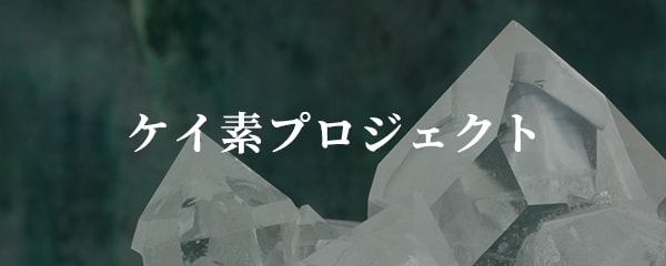 ケイ素プロジェクト