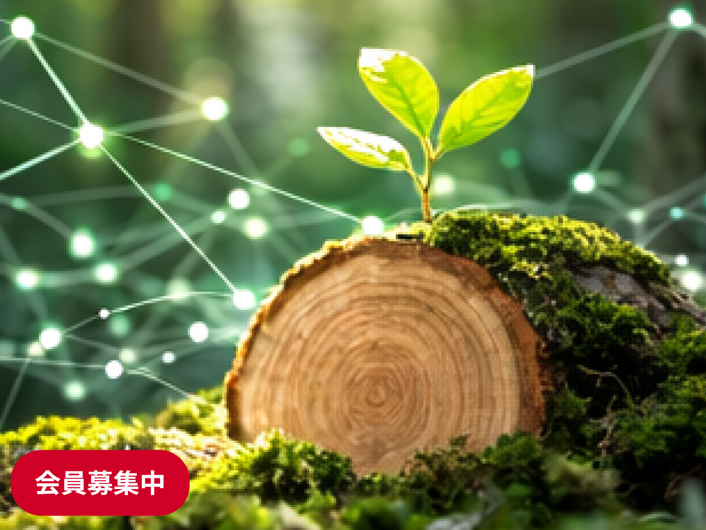 持続性木質資源工業技術研究会