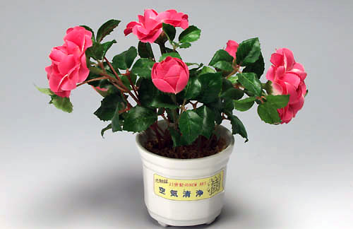 光触媒をもった造花