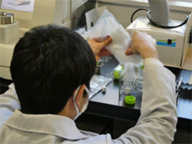 「2022年度前期実習風景（その3）」の写真