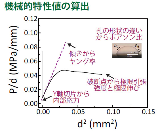 薄膜材料の材料特性評価 - AC-0001 - 産総研：樹脂やゴム材料等の分析 ...