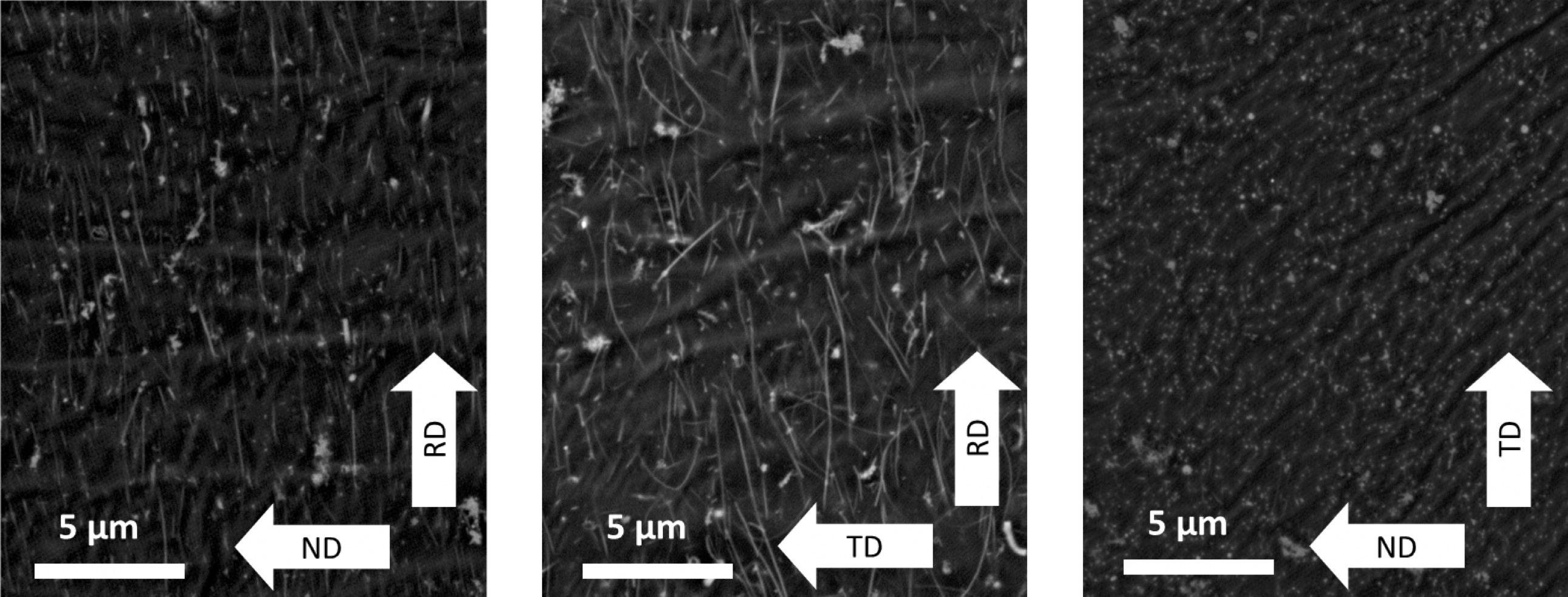 TD、ND、RD方向から観察した複合材の断面