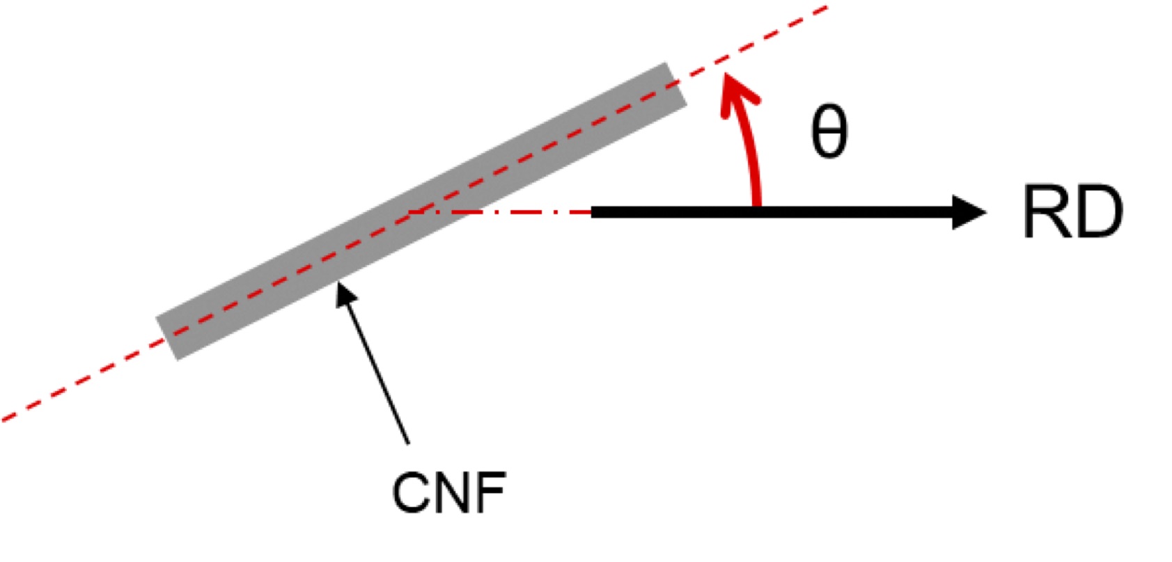 CNFの方位分布の読み取り