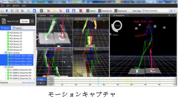 全体写真