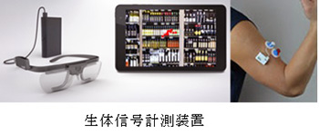全体写真