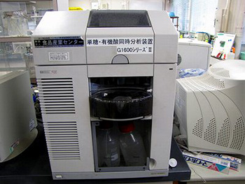 全体写真