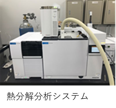 全体写真