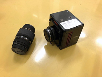 全体写真