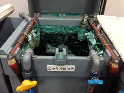 全体写真