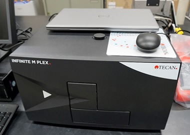 全体写真