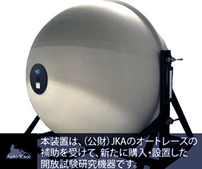 全体写真