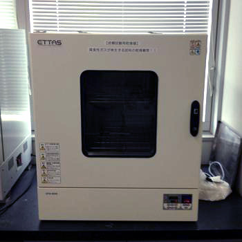 全体写真