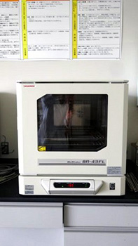 全体写真