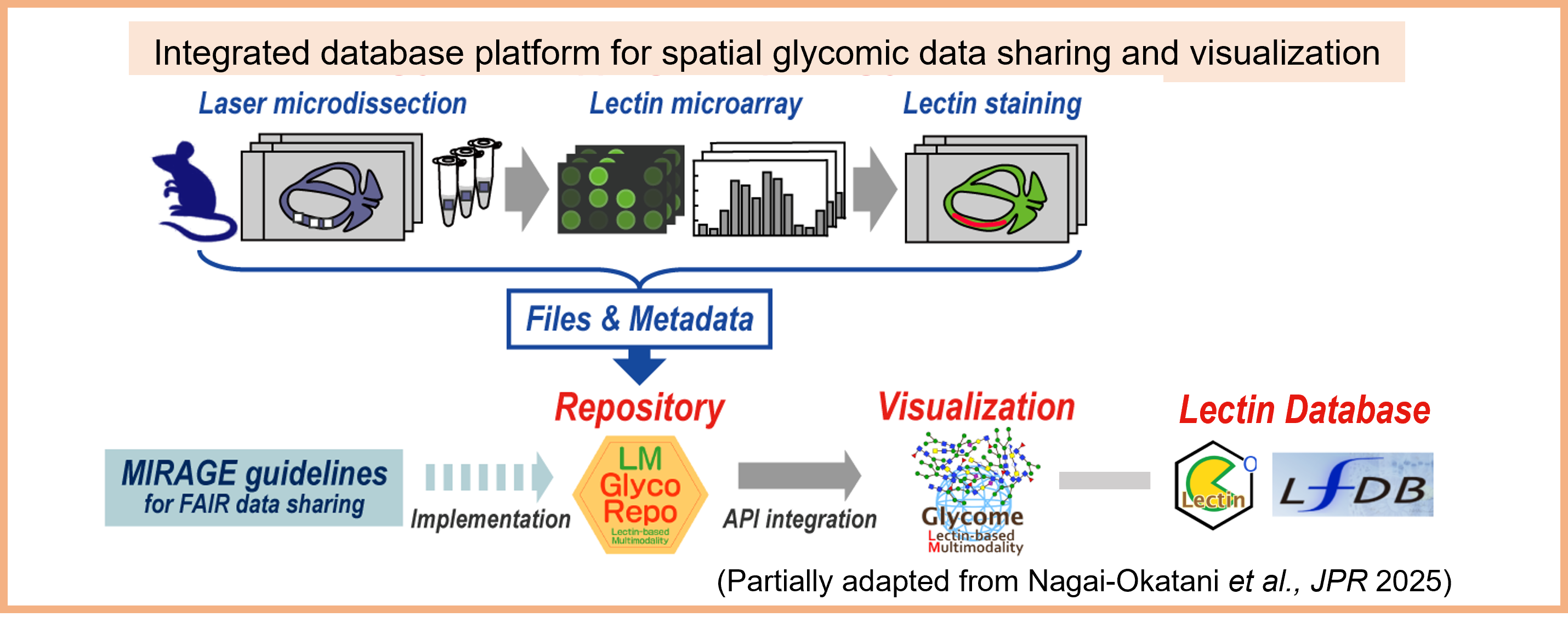 Multimodal Spatial Molecular Imaging Research Group5