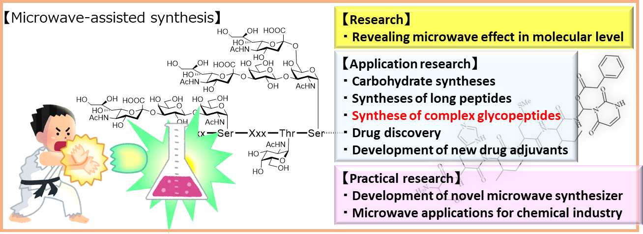Multicellular System Regulation Research Group7