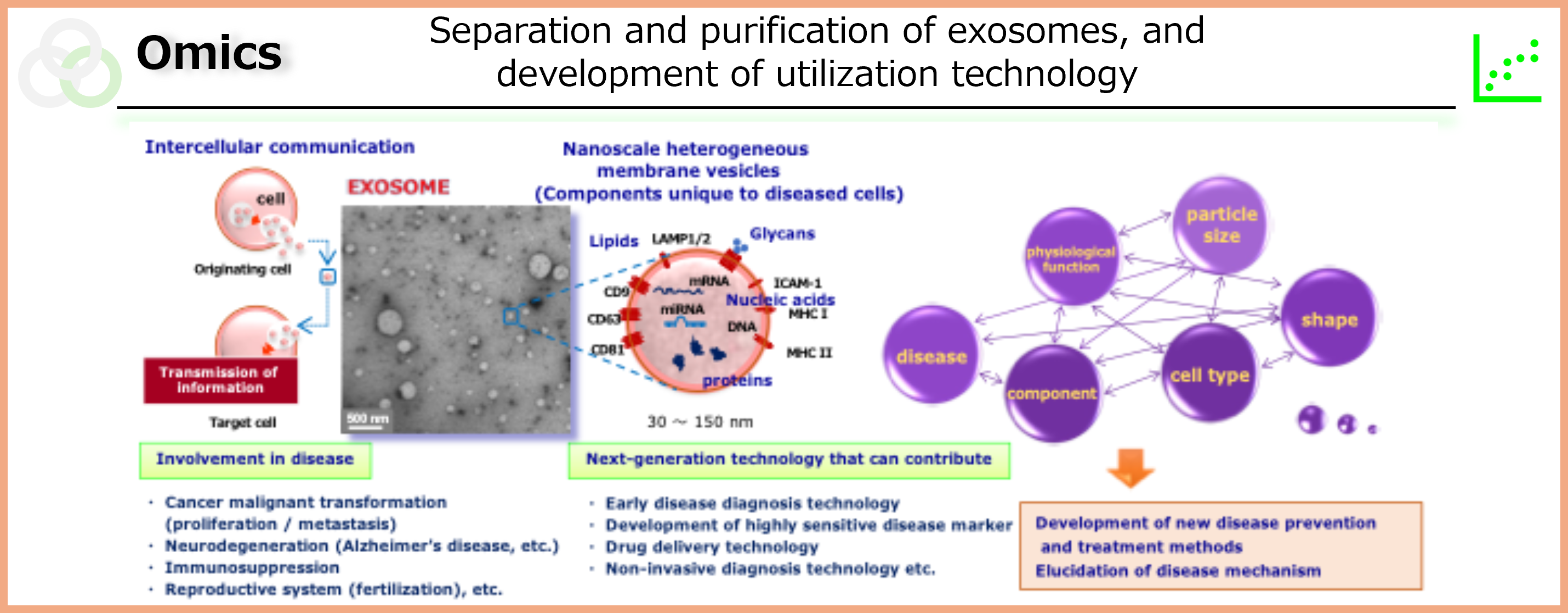 Multicellular System Regulation Research Group5