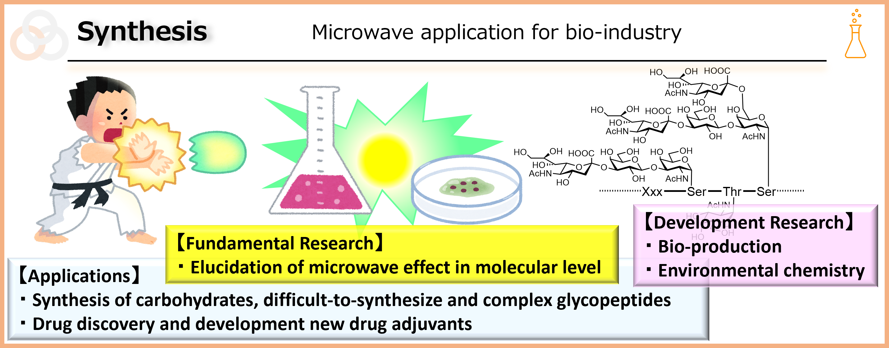 Multicellular System Regulation Research Group6