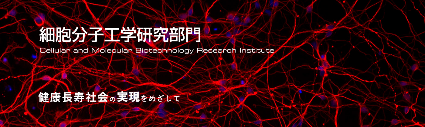 メインビジュアル2