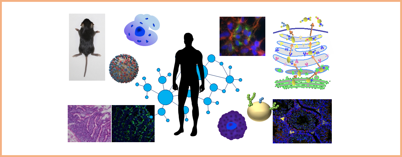 分子細胞マルチオミクス研究グループ2