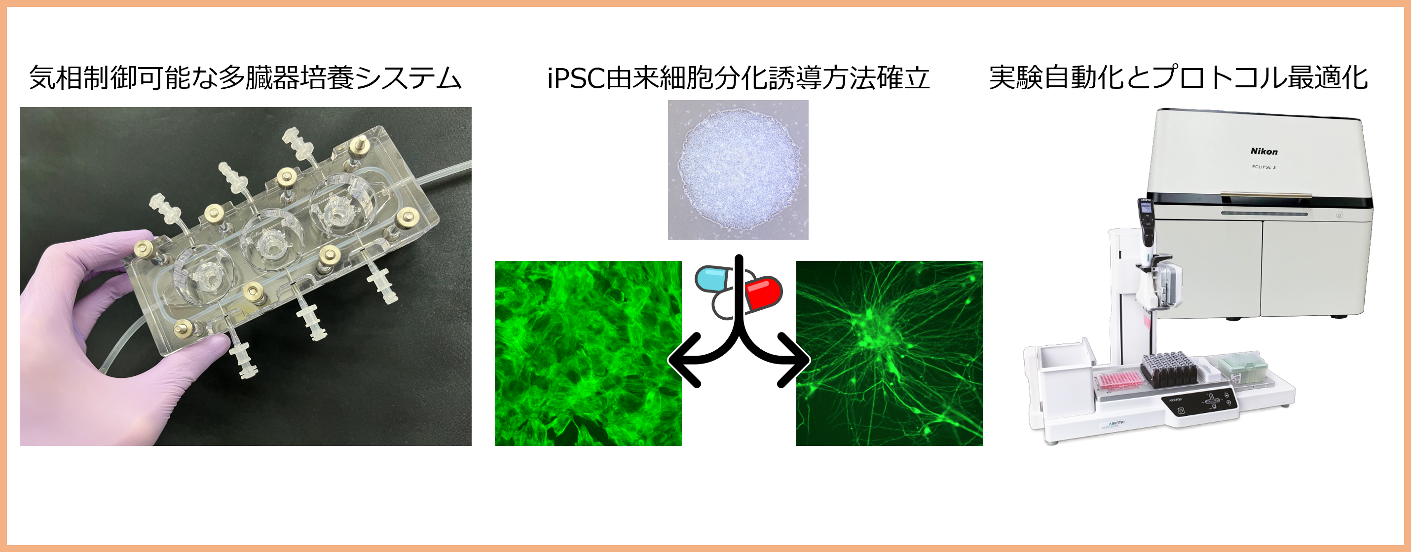 生体模倣システム研究グループ7