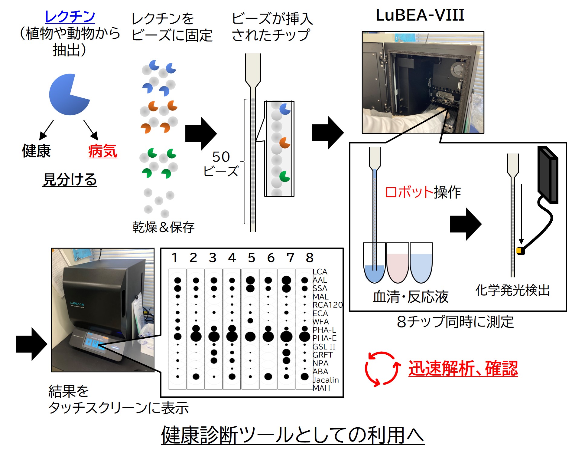 糖鎖プロファイリング技術