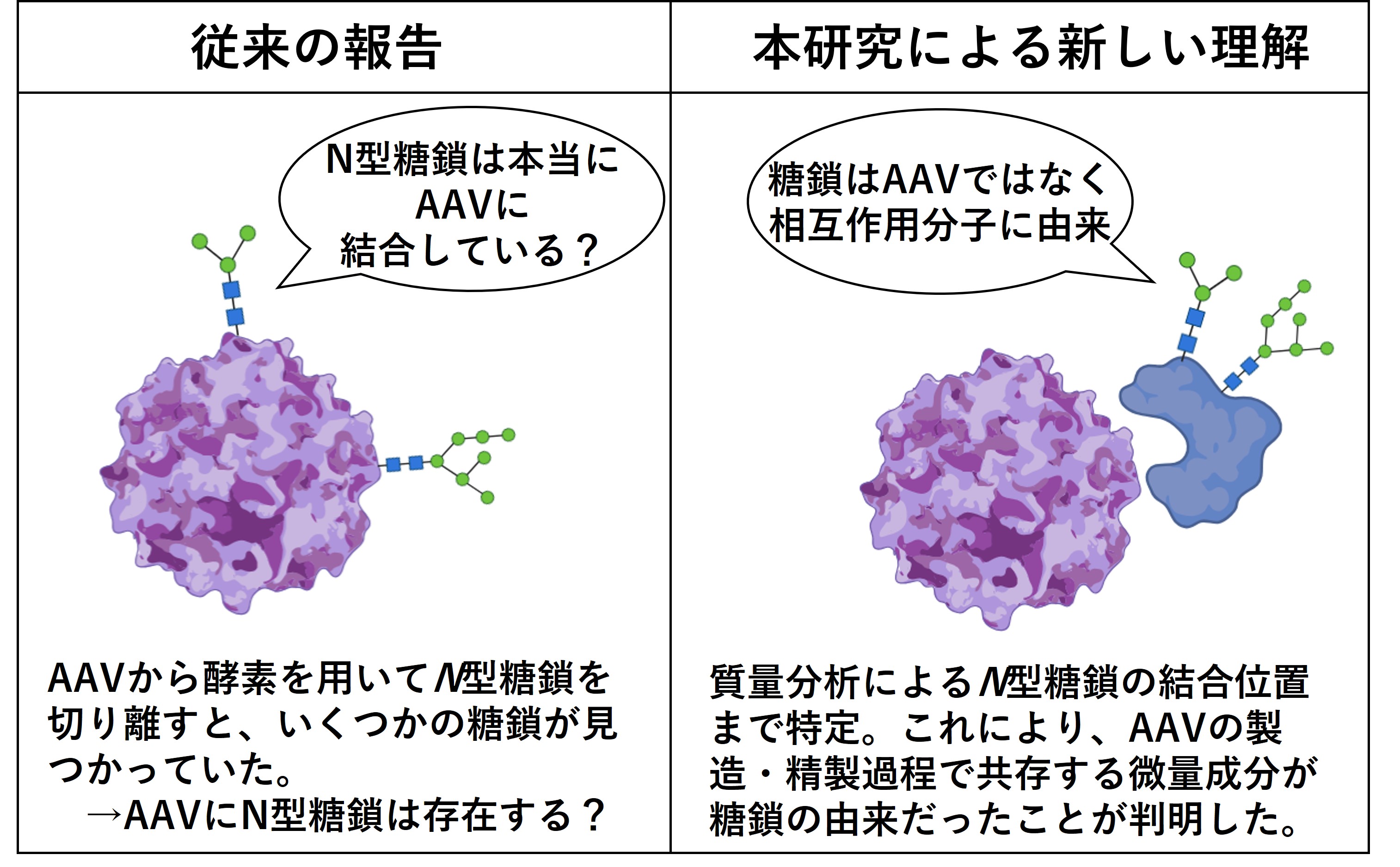 久野・坂上らの論文がAnalytical and Bioanalytical Chemistry誌のPaper in Forefrontに選出
