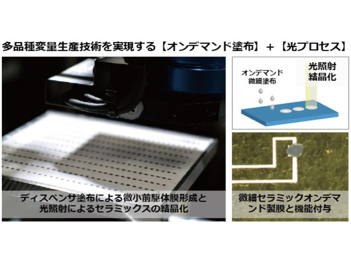 Development of on-demand repair technology