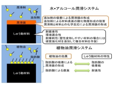 Ecological Tribology