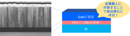 今回作製したGaN圧電薄膜の電子顕微鏡写真(左)と構造の模式図(右)の画像