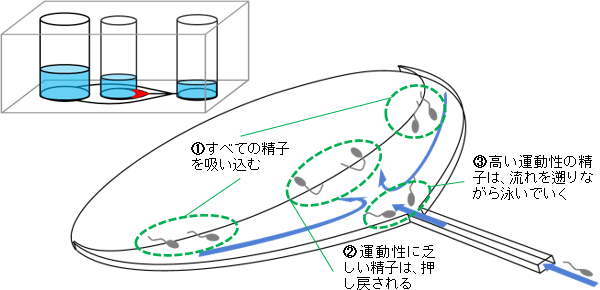 今回開発した「運動性精子選別器具」の概略図(左上)と三日月状構造部内での流れの様子(右)の図