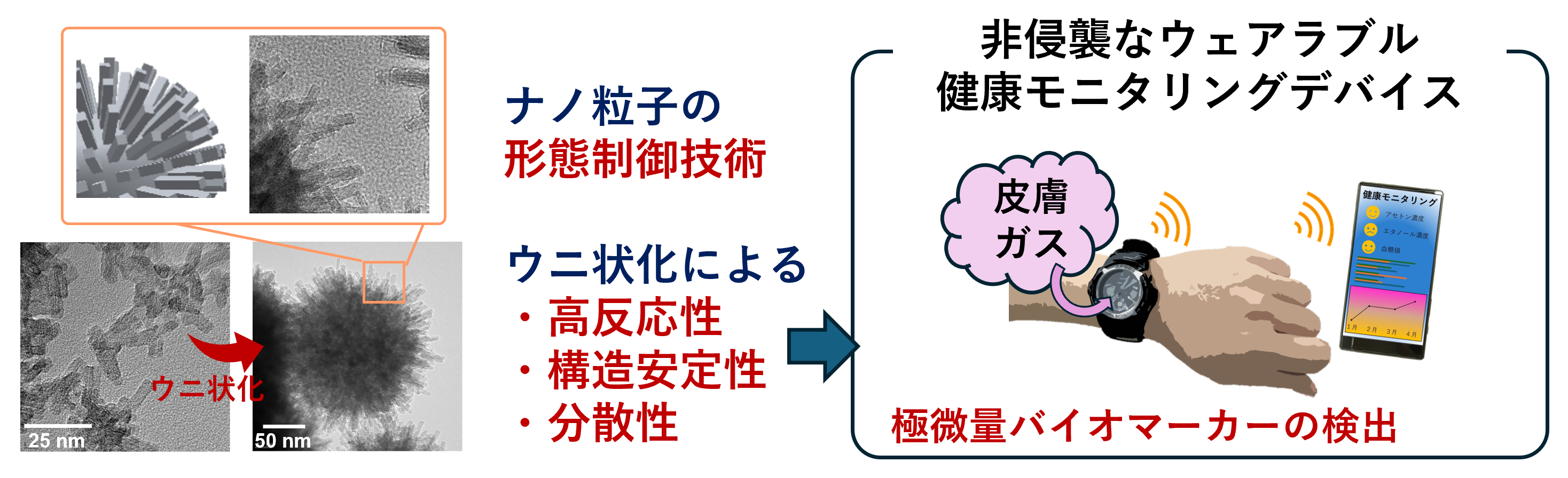 研究テーマ図解