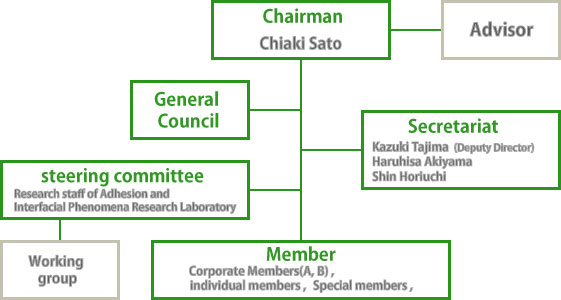 Organizational Structure