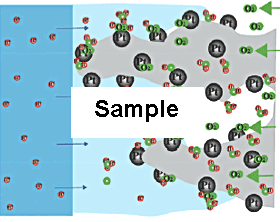 Fig.1: Reaction at Electrode Catalyst