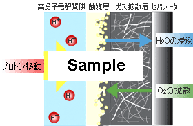 Fig.1: Reaction at Electrode Catalyst
