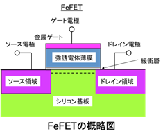 FeFETの概略図
