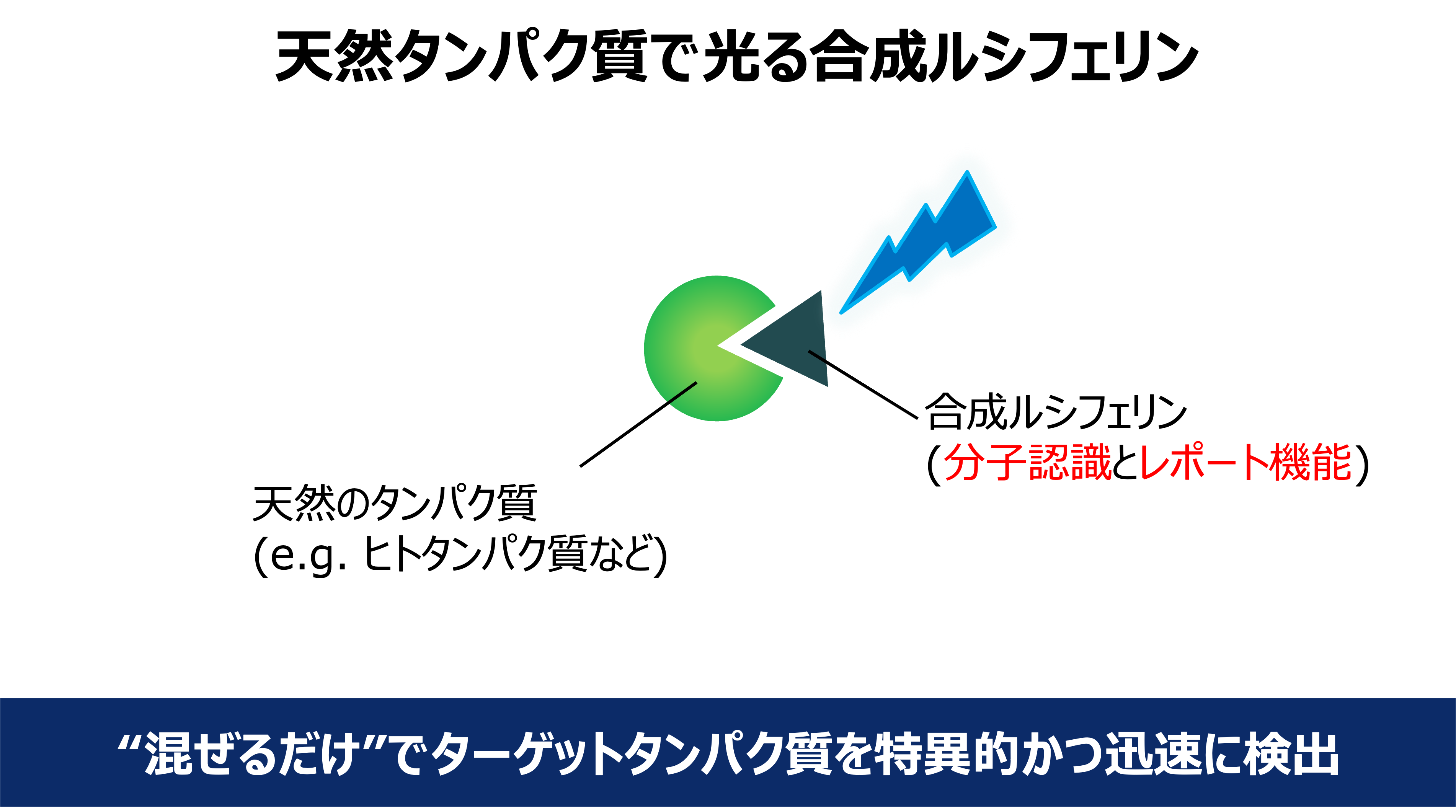 研究紹介図