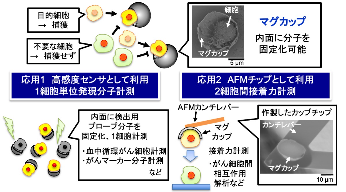研究紹介図
