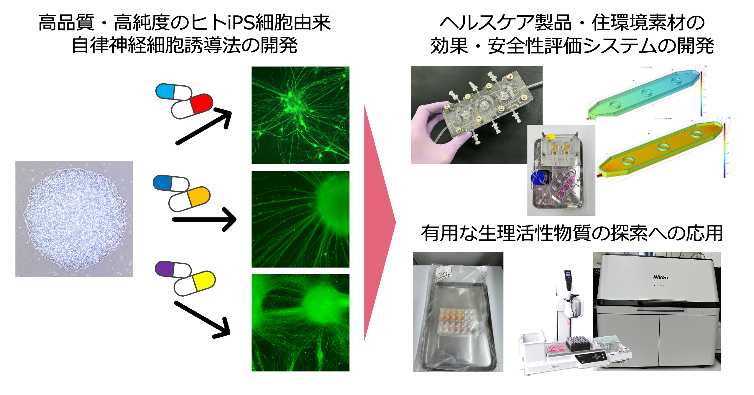 ヘルスケア製品・住環境素材の効果・安全性評価システムの開発の図